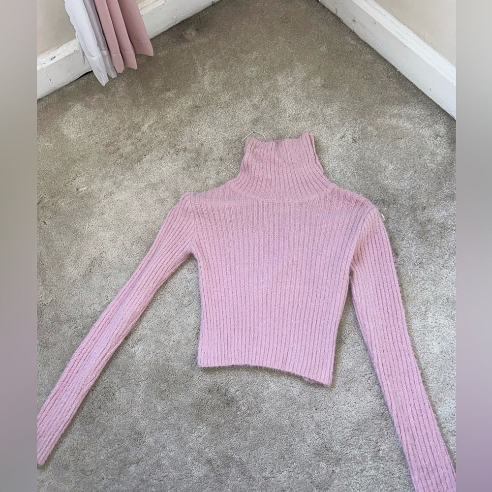 Mid length turtleneck